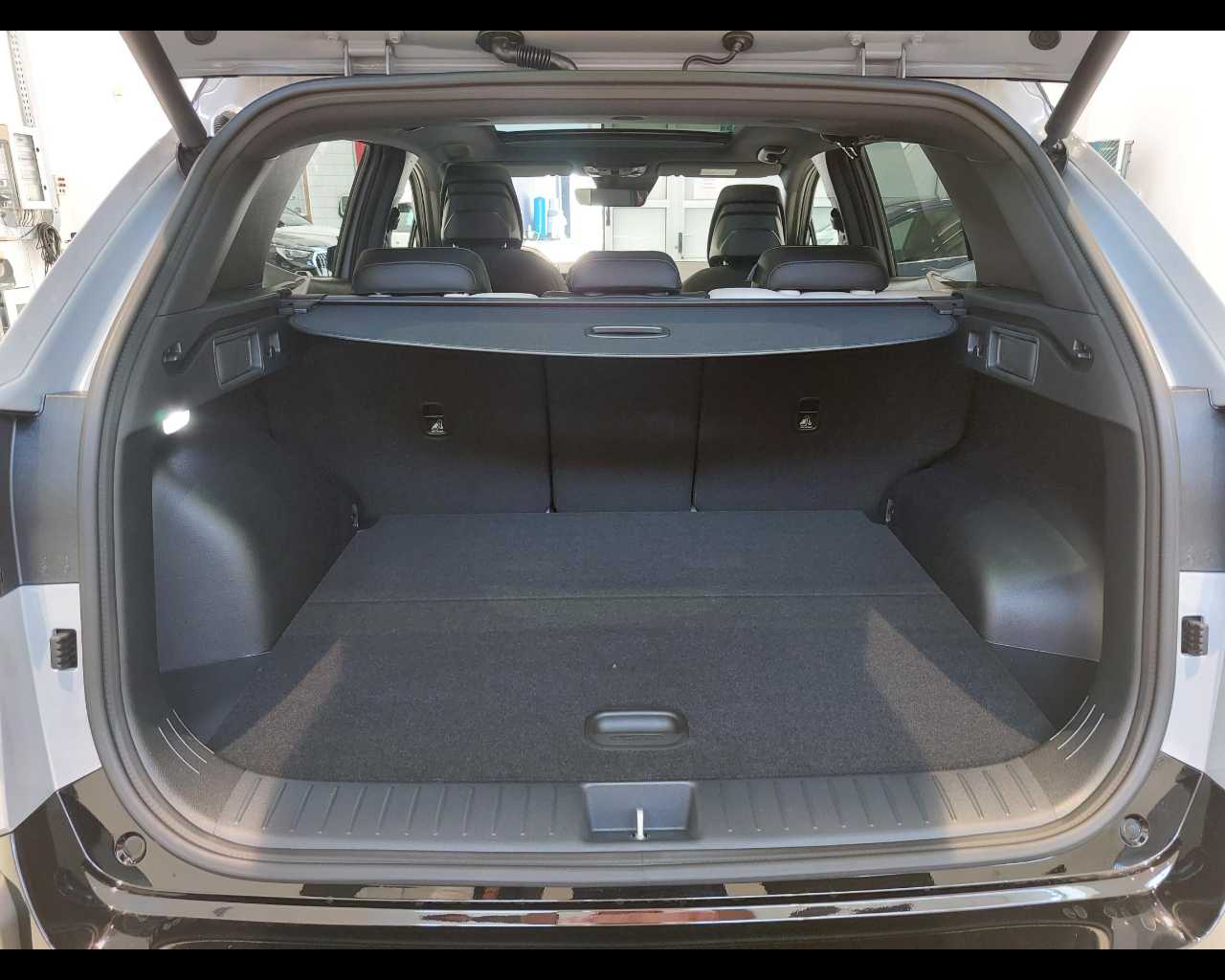 Kia Sportage Nuovo Ibrido benzina Sportage Legnago