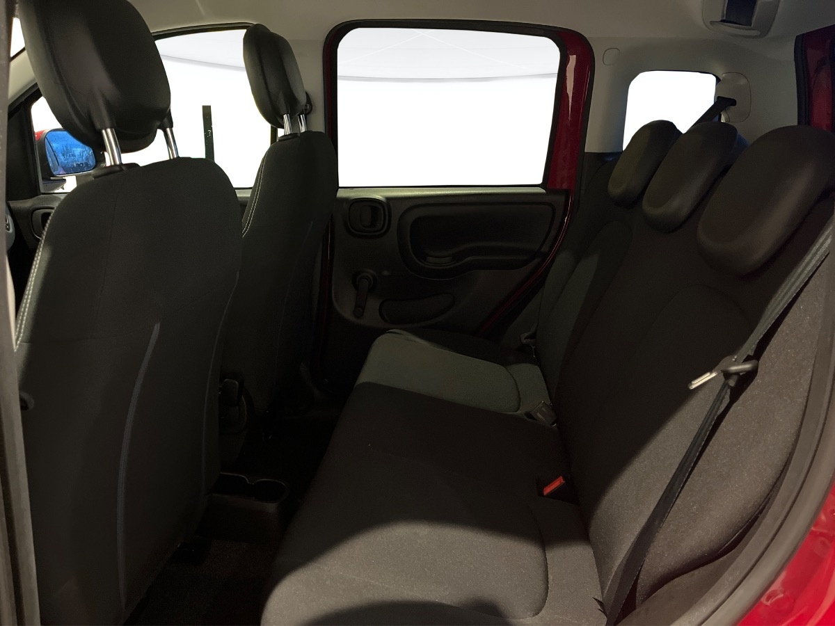 Fiat Panda Usato 2024 Panda Cerea