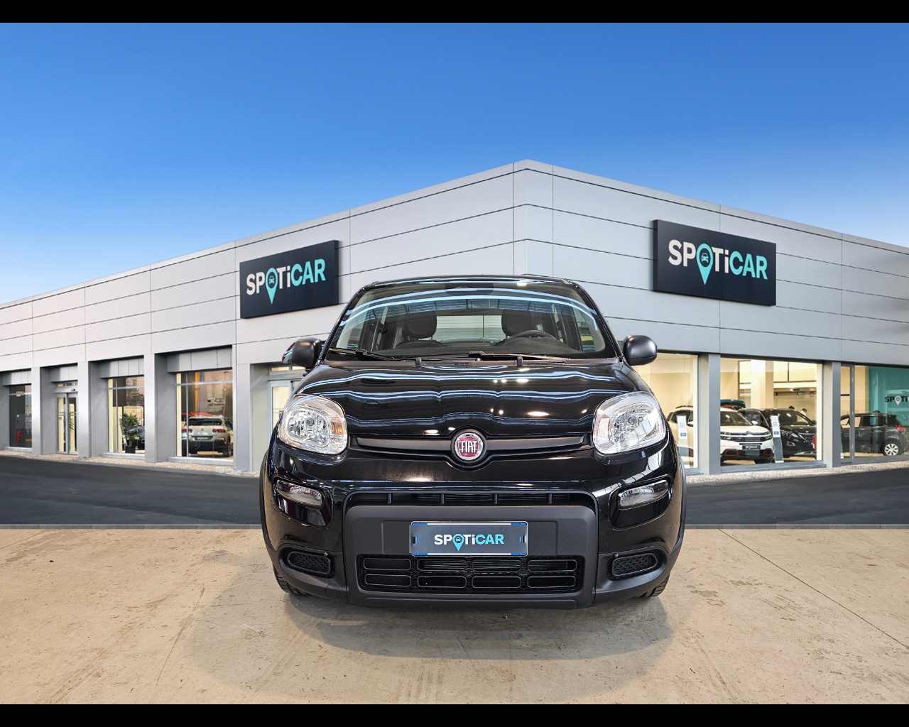 FIAT Panda 1.0 70cv Hybrid Panda Ibrido benzina Aziendale - 1