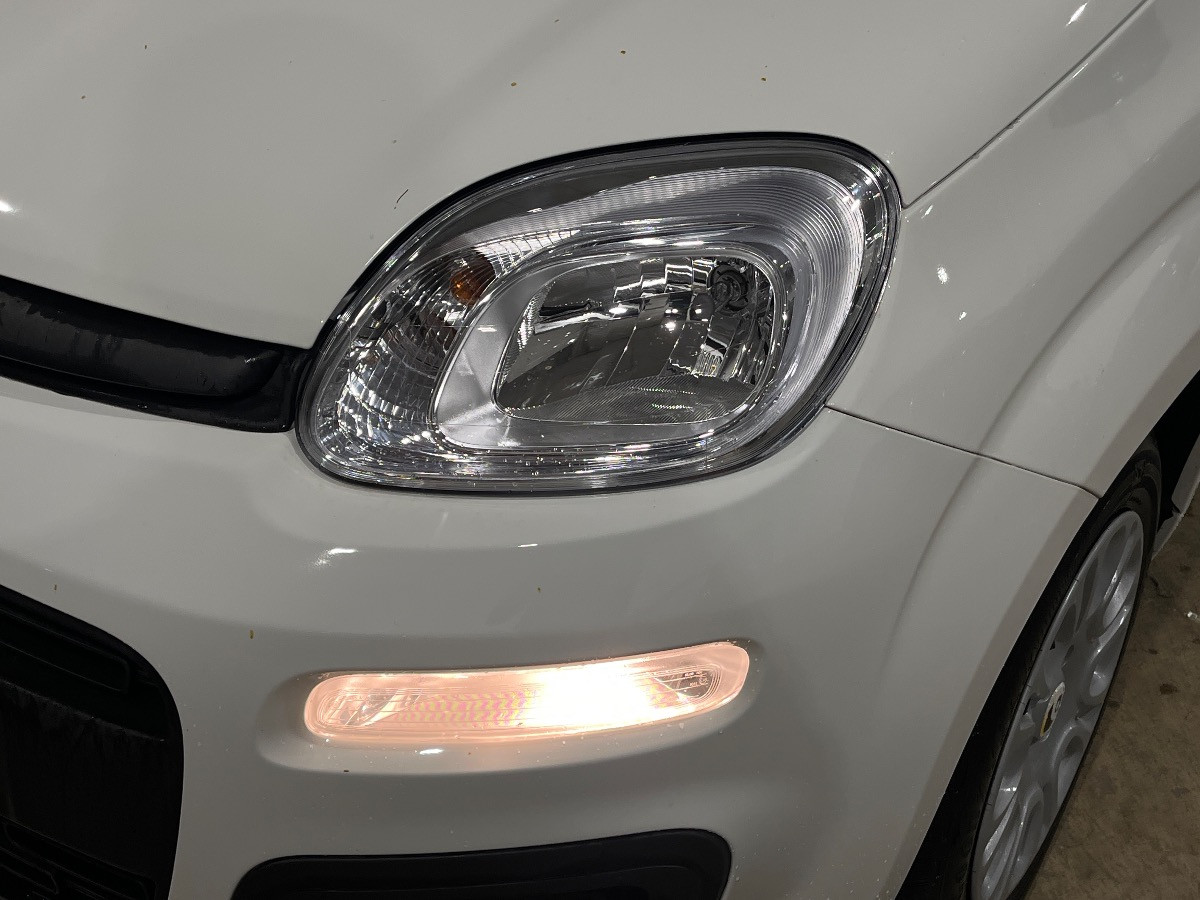 Fiat Pandina KM0 2026 Pandina Rovigo
