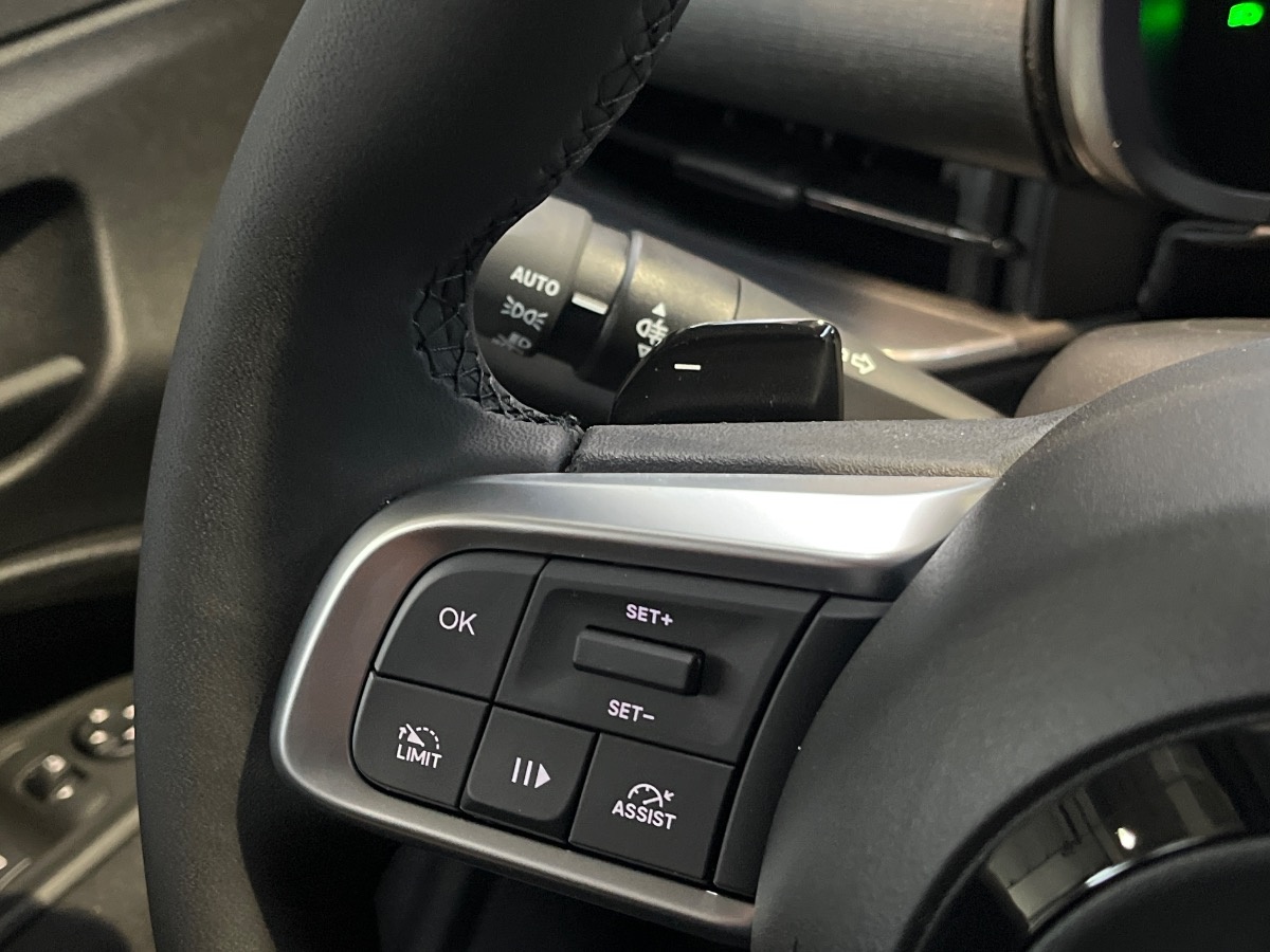 Fiat 600 Aziendali 2025 600 Rovigo