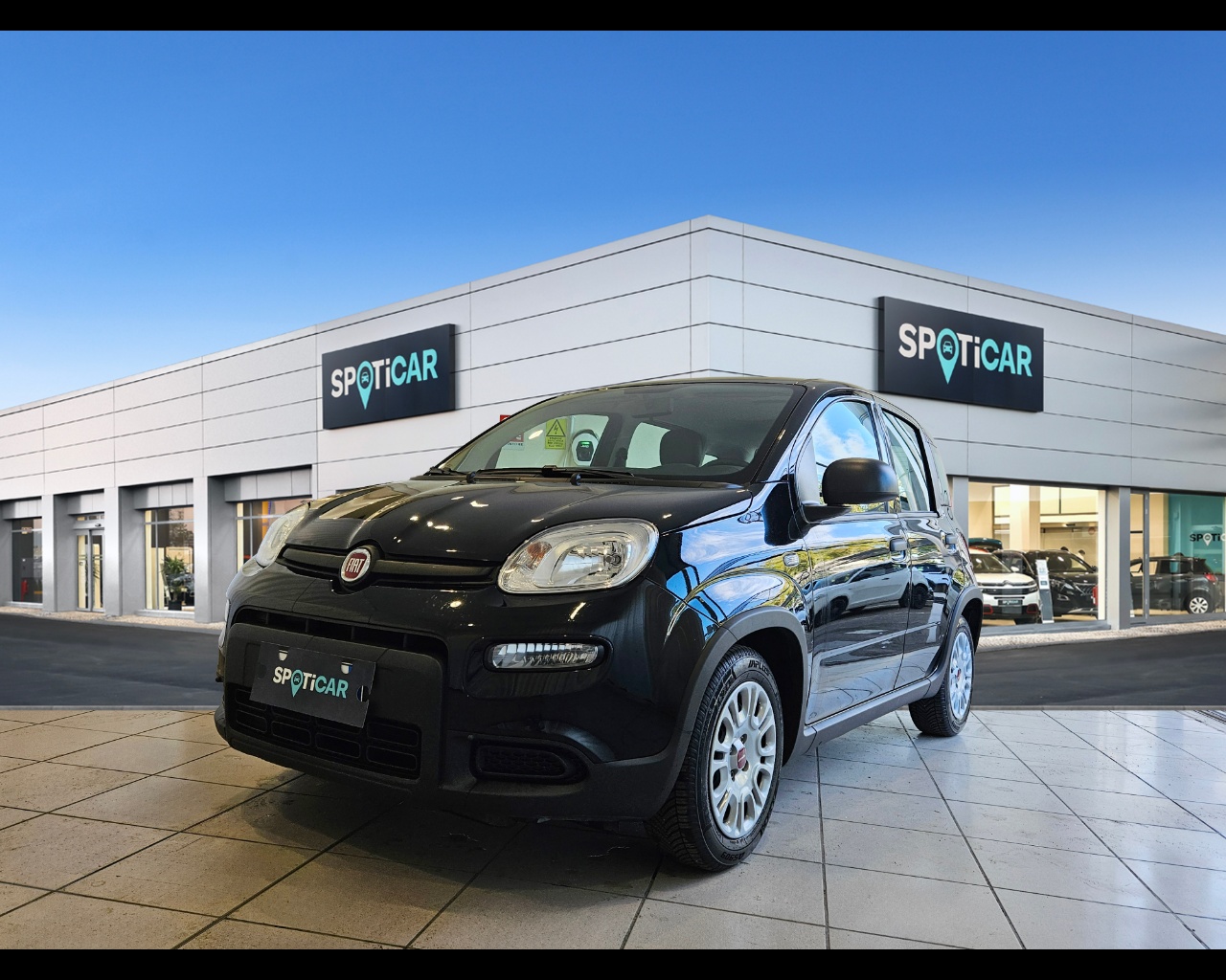 FIAT Panda Panda 1.0 firefly hybrid s&s 70cv Ibrido benzina Usato