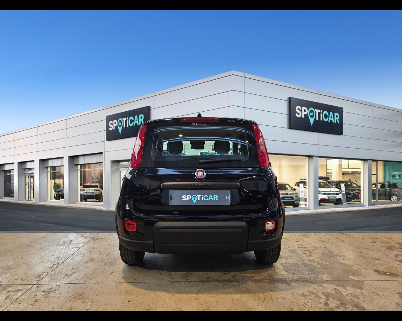 FIAT Panda 1.0 70cv Hybrid Panda Ibrido benzina Aziendale - 3