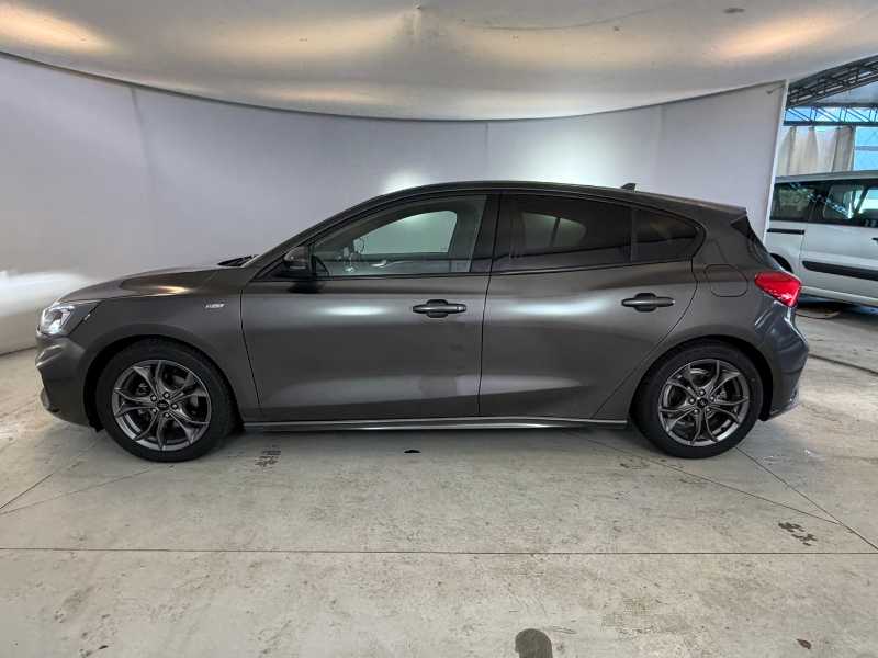 Focus V - Focus 1.5 Ecoblue St-line S&s 120cv My20.75