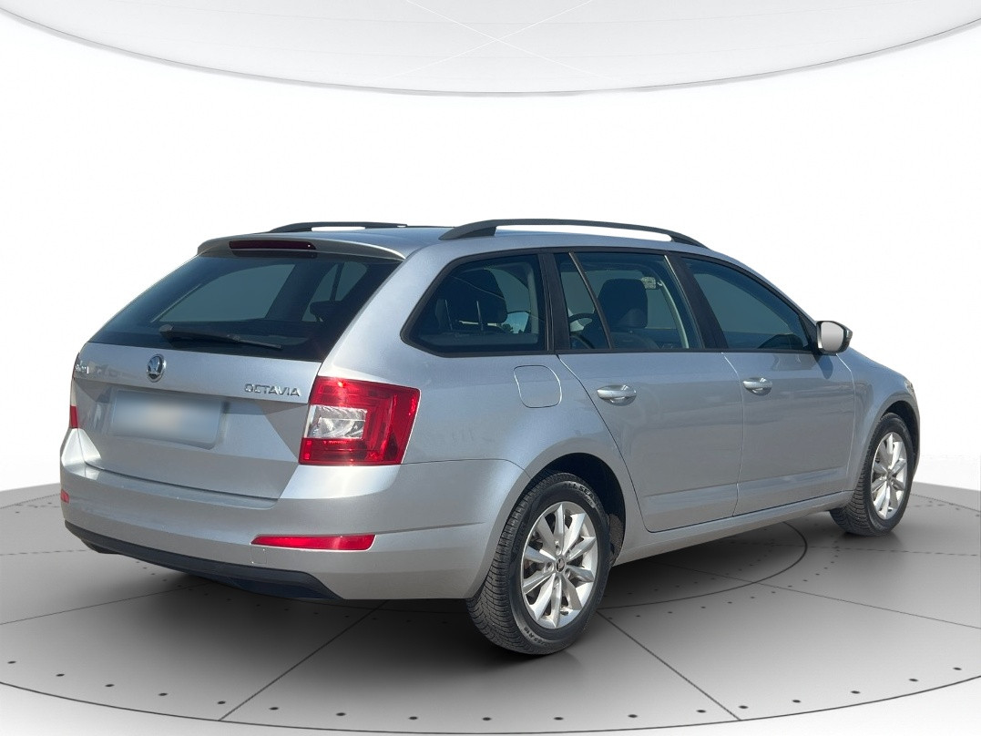Skoda Octavia Usato 2014 Octavia Rovigo
