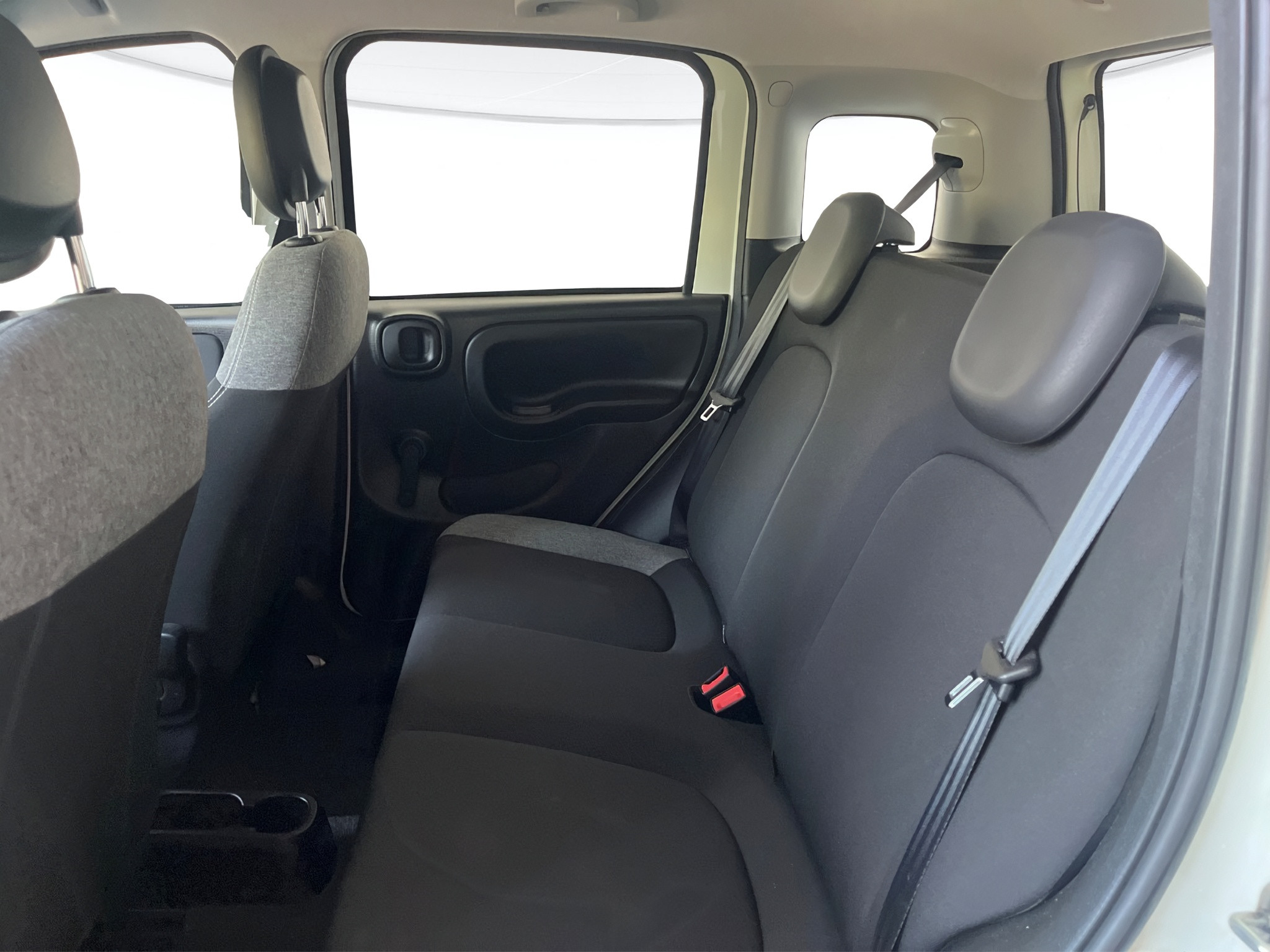 Fiat Panda Usato 2021 Panda Cerea