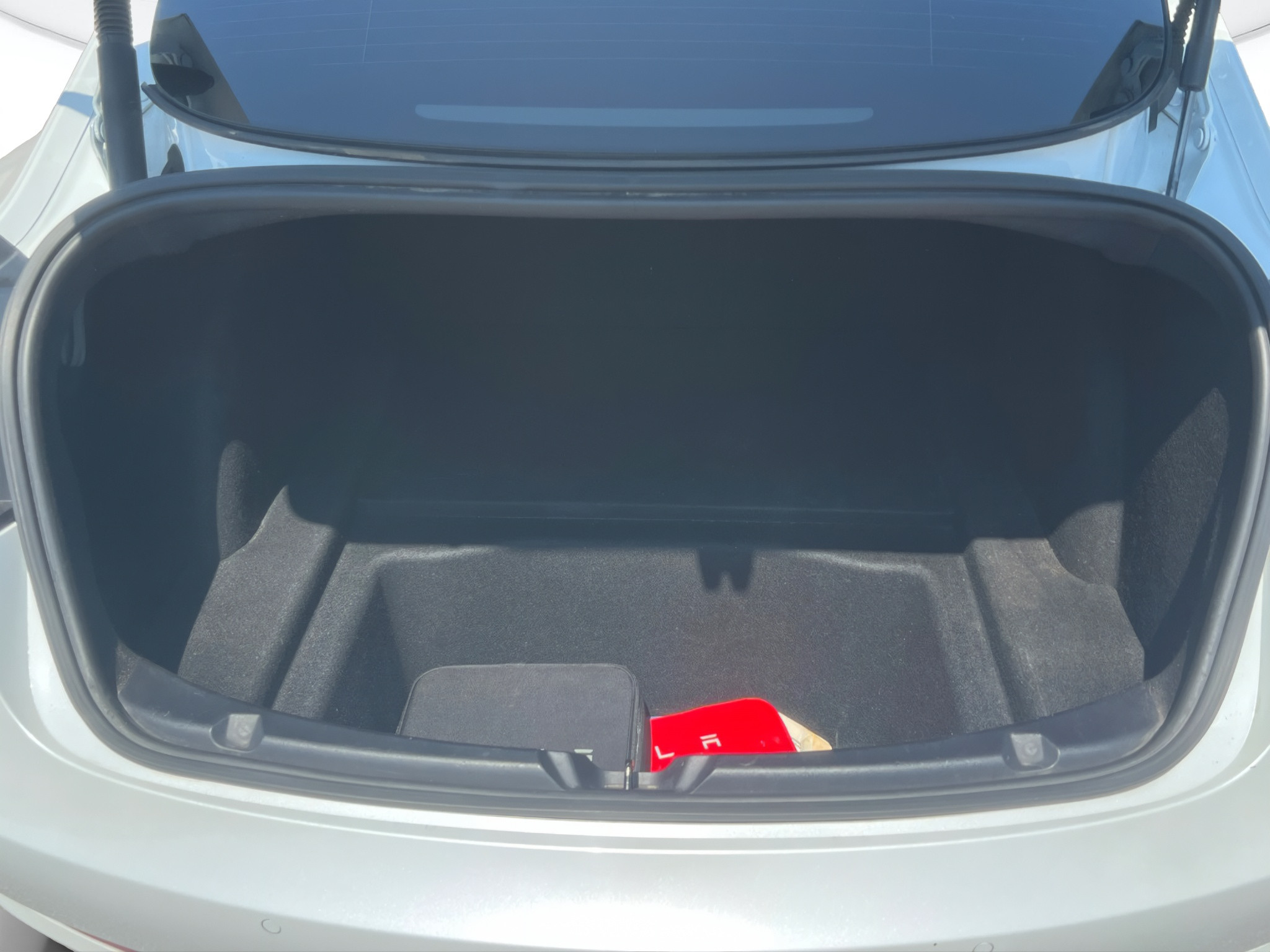 Tesla Model 3 Usato 2020 Model 3 Rovigo