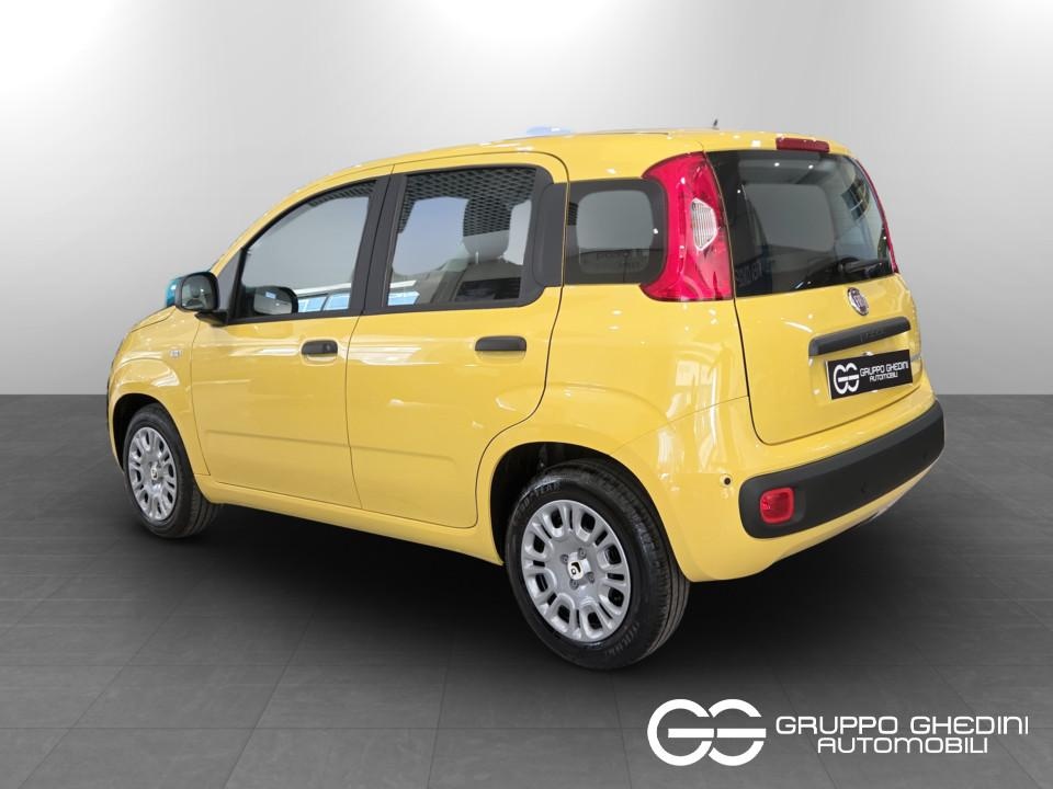 FIAT Panda Pandina My26 1.0 65cv Hybrid Pop Ibrida km0 - 2
