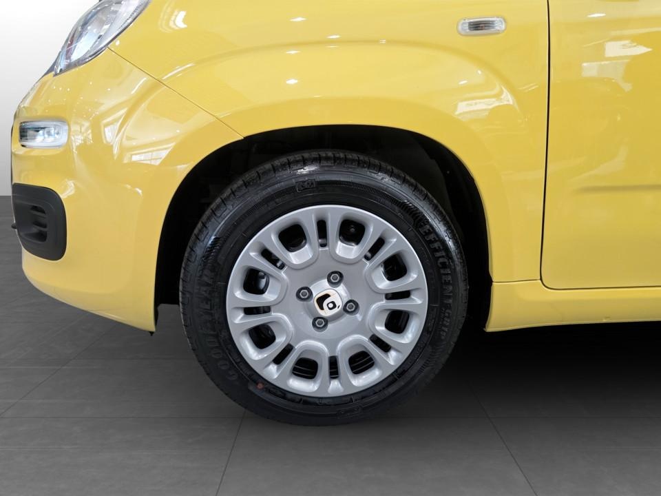 FIAT Panda Pandina My26 1.0 65cv Hybrid Pop Ibrida km0 - 18