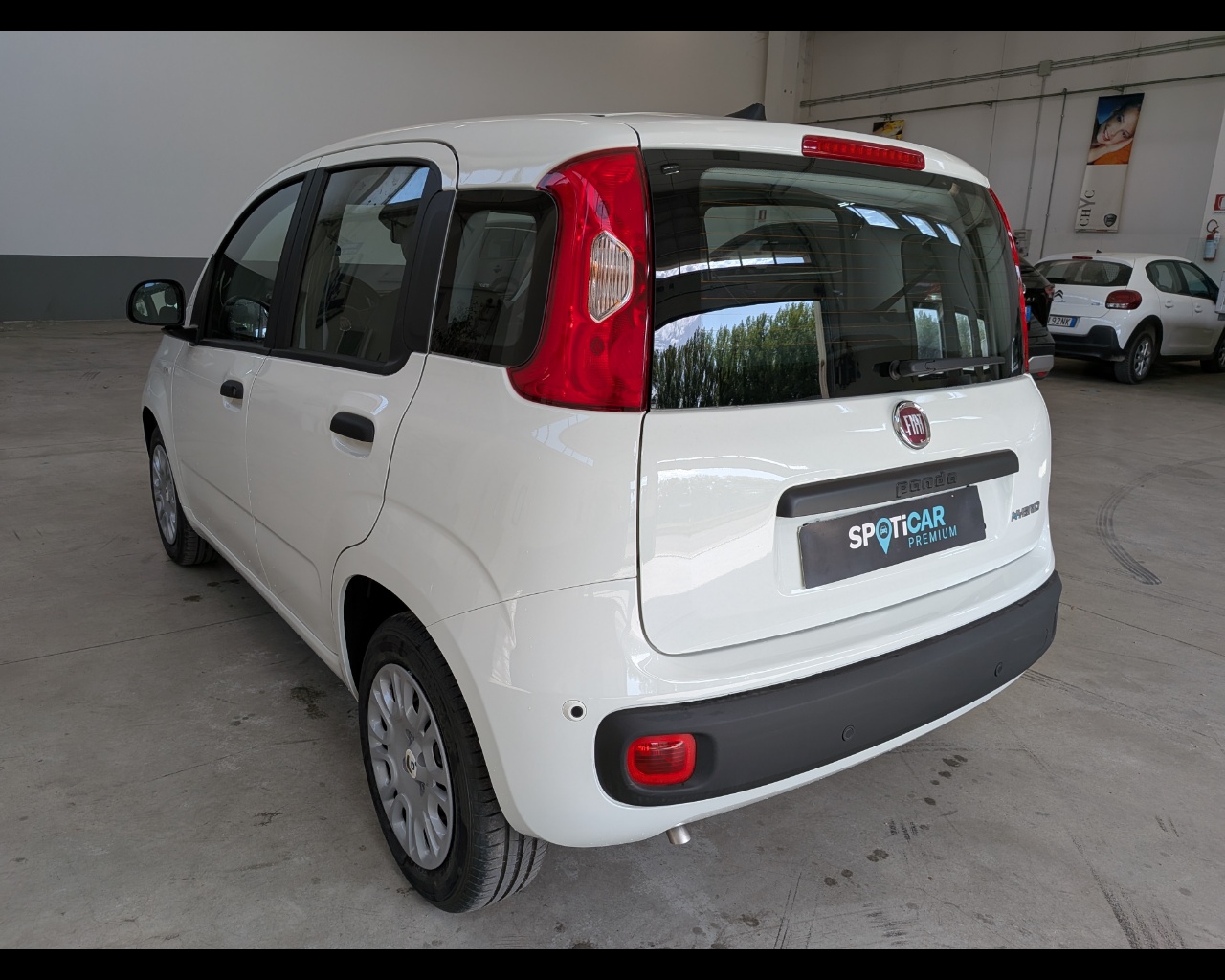 Foto FIAT Panda 1.0 firefly hybrid s&s 70cv 5p.ti