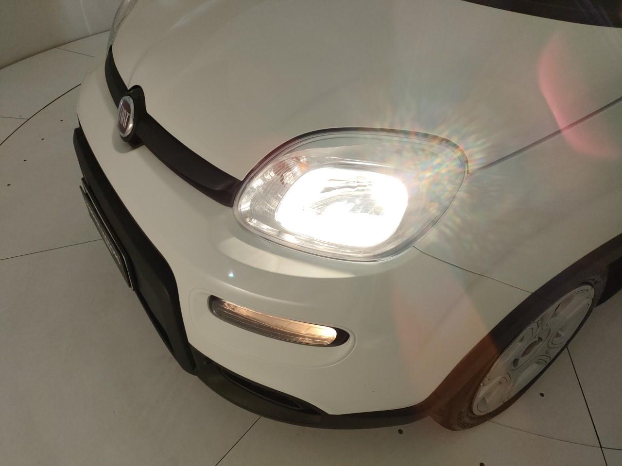 Fiat Panda Usato 2024 Panda Rovigo