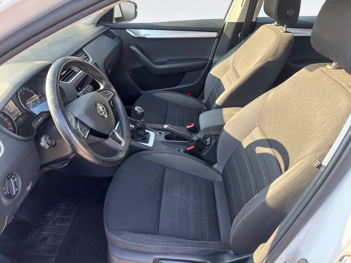 Skoda Octavia Usato 2019 Octavia Padova