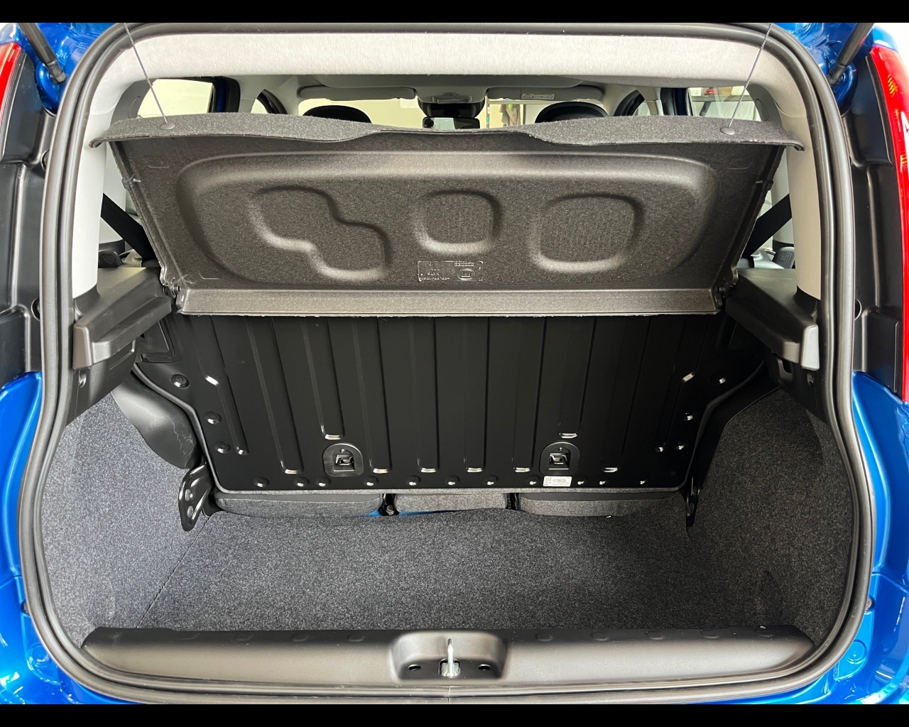 Fiat Panda Aziendali 2025 Panda Rovigo