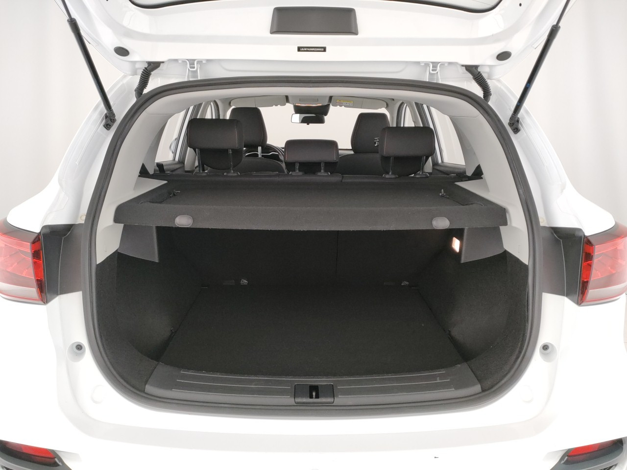 Mg ZS Usato 2025 ZS Porto Mantovano