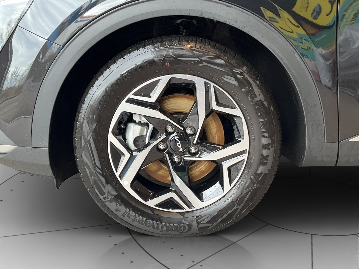 Kia Sportage Usato 2024 Sportage Cerea