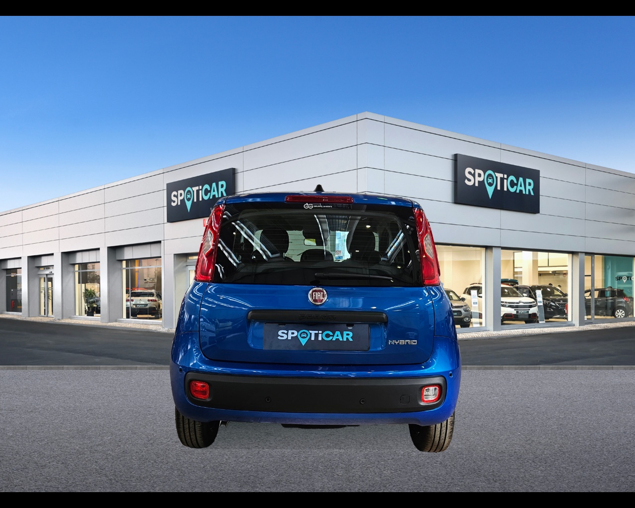 FIAT Panda 1.0 70cv Hybrid Panda Ibrido benzina Aziendale - 2