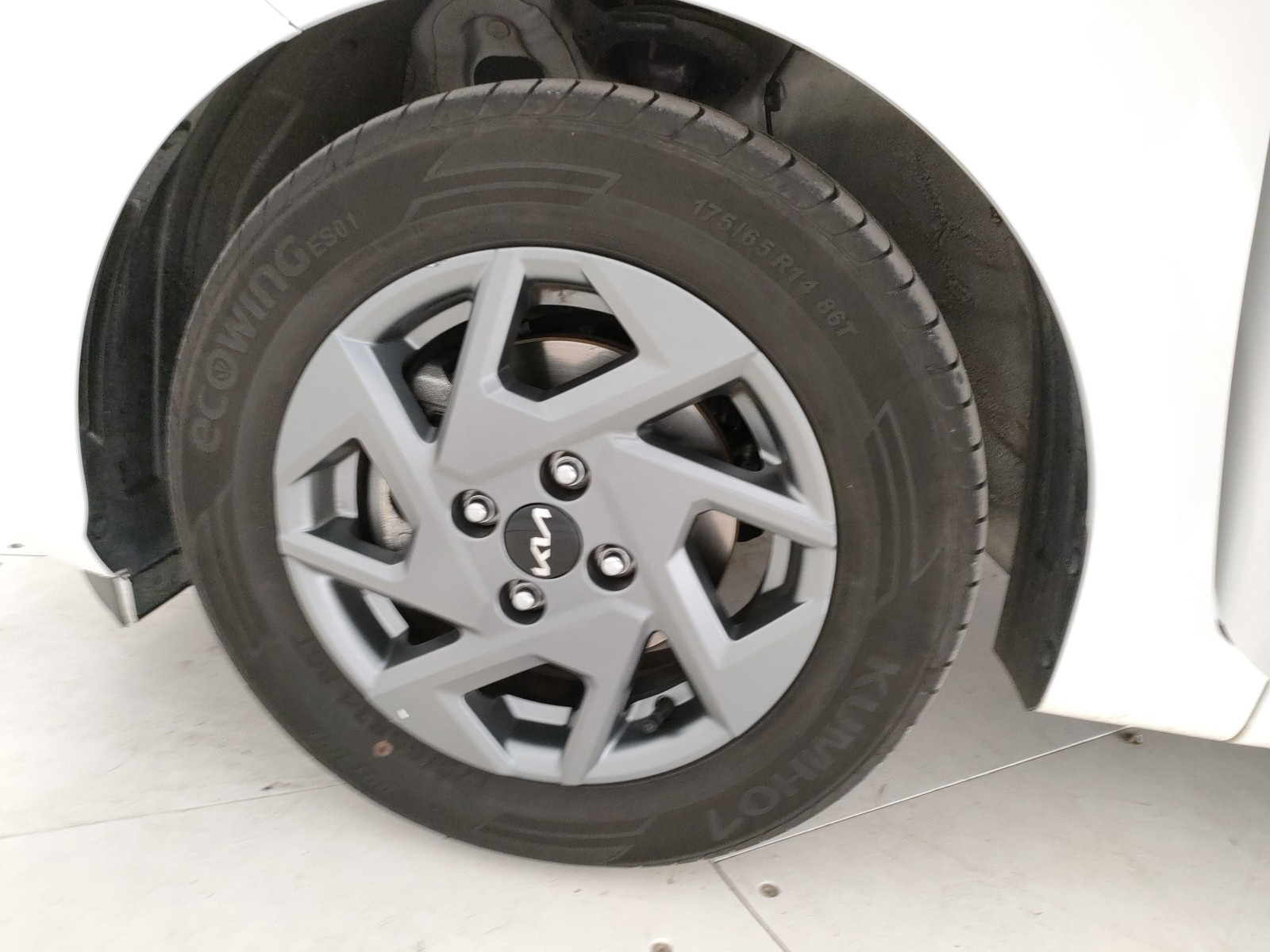 Kia Picanto Usato 2025 Picanto Legnago