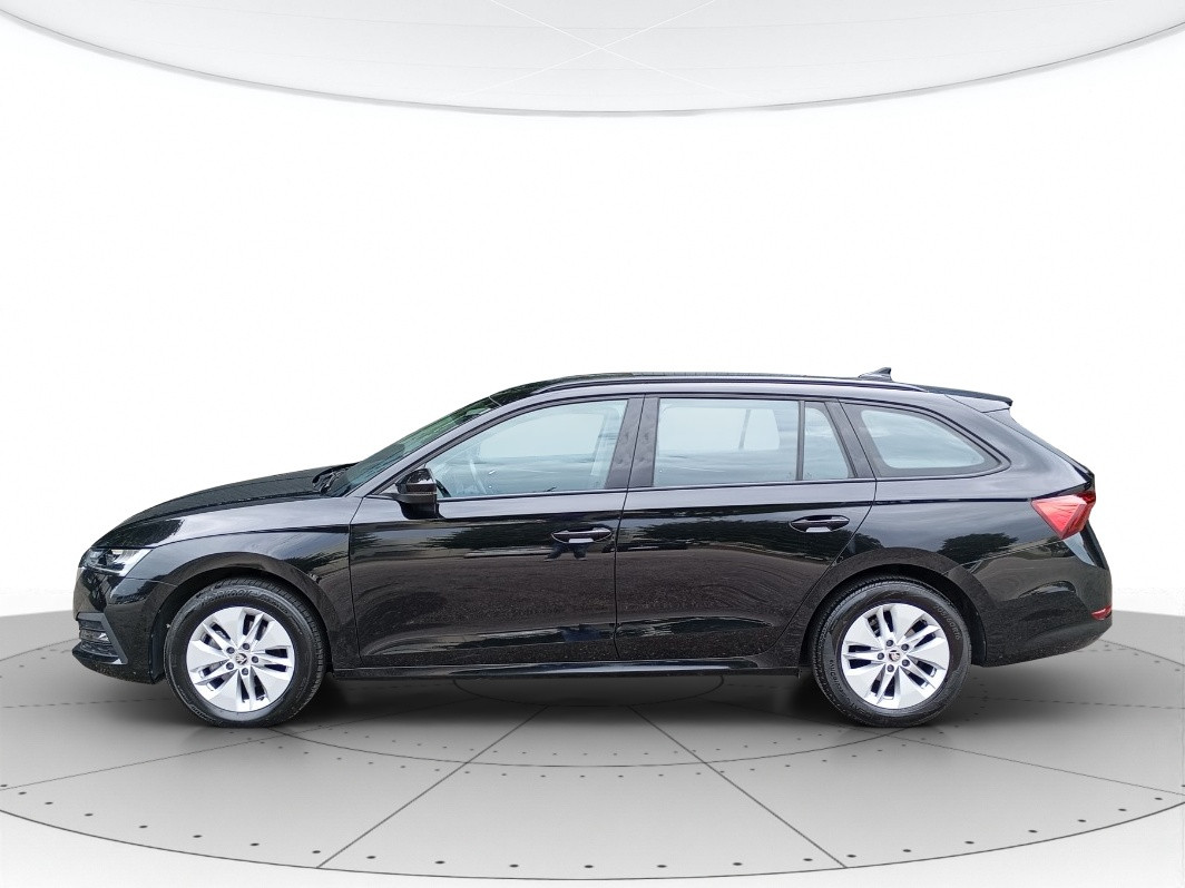 Skoda Octavia Usato 2023 Octavia San Vendemiano