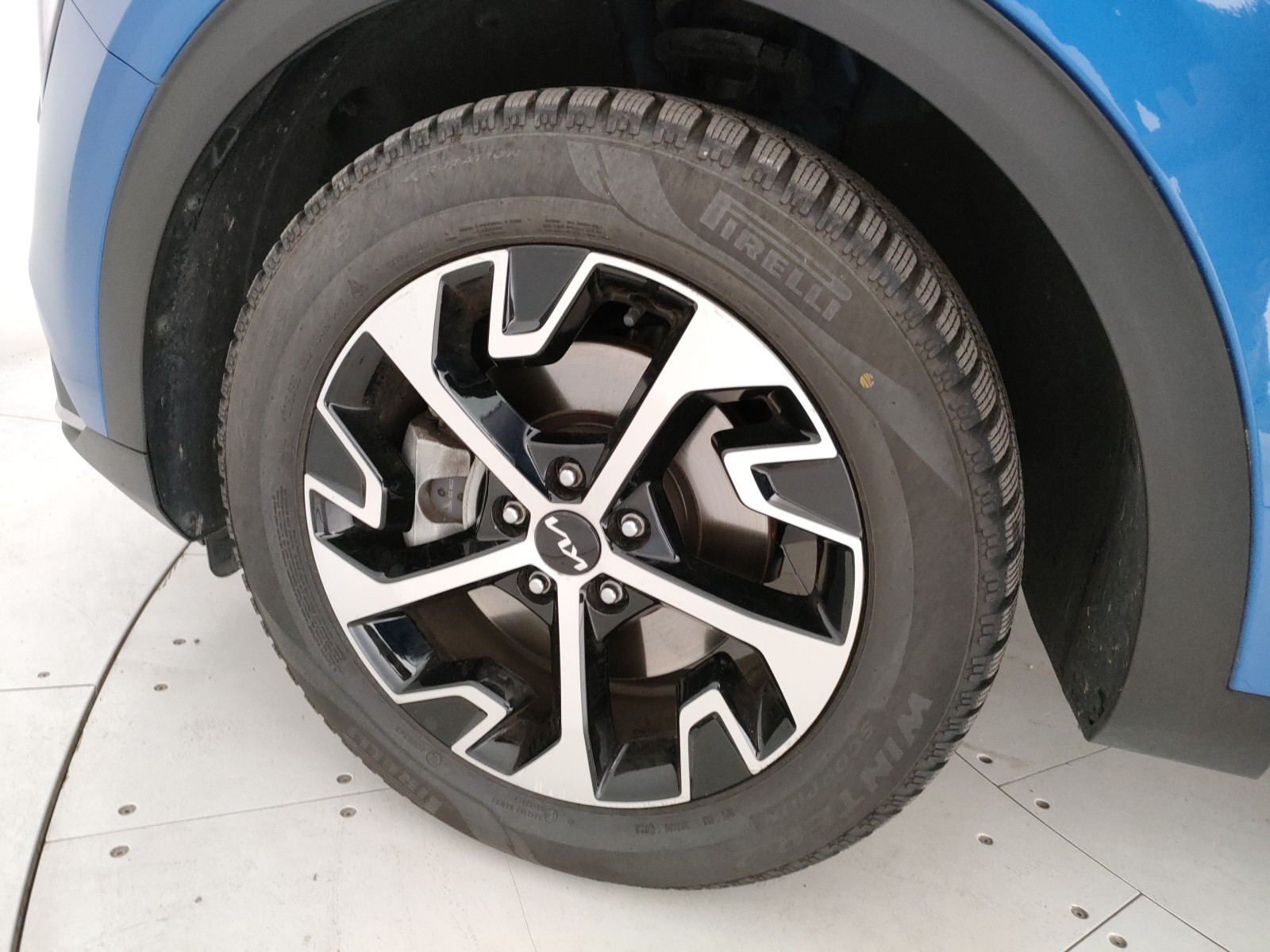 Kia Sportage Usato 2023 Sportage Legnago