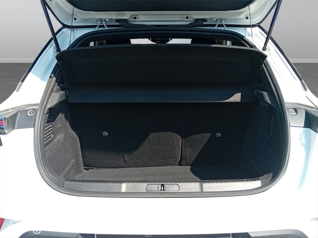 Panoramica 26° Immagine Veicolo