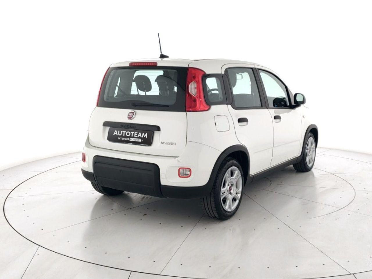 Fiat Panda Usato 2024 Panda Mestre