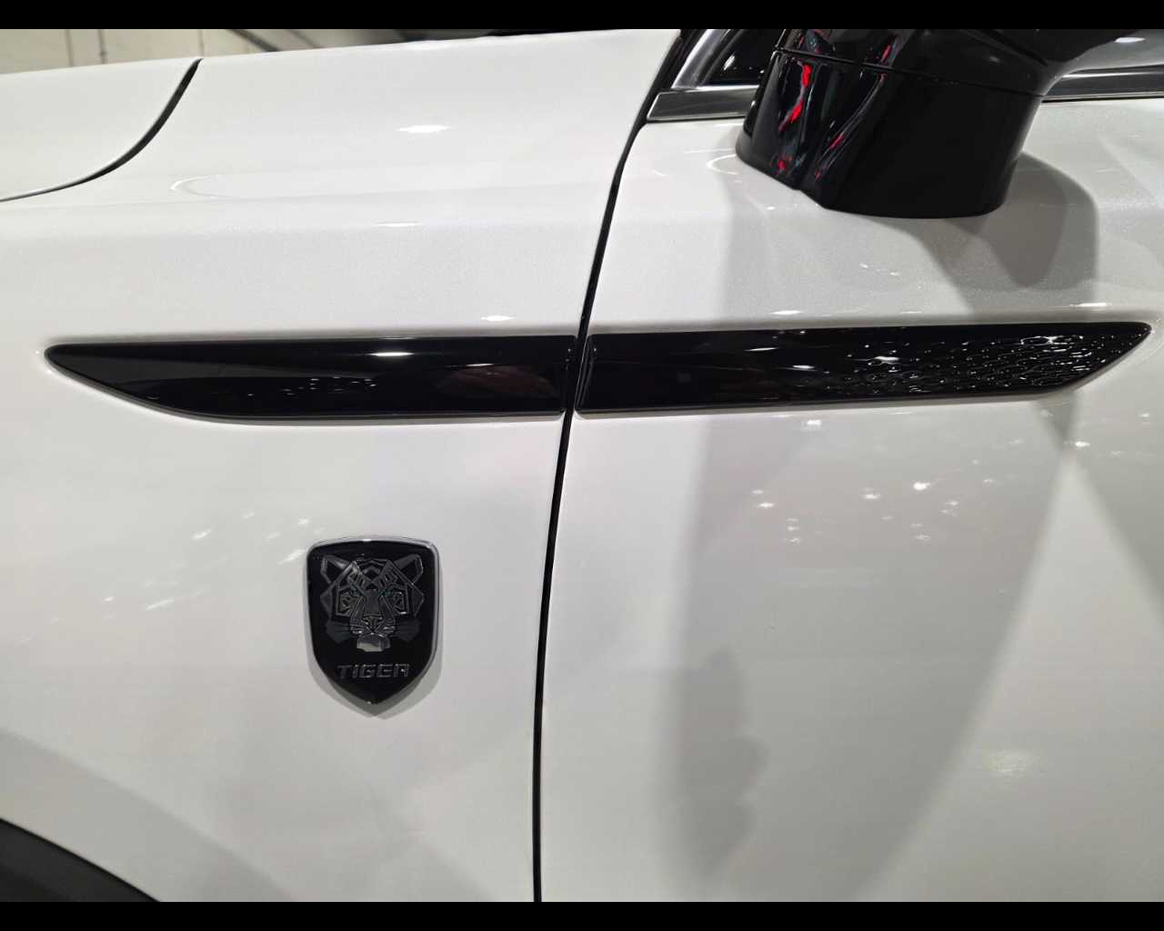 Tiger Eight Nuovo gPL Eight Mestre