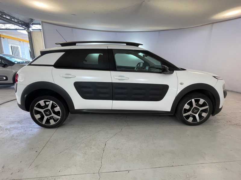C4 Cactus - C4 Cactus 1.6 Bluehdi Shine S&s 100cv