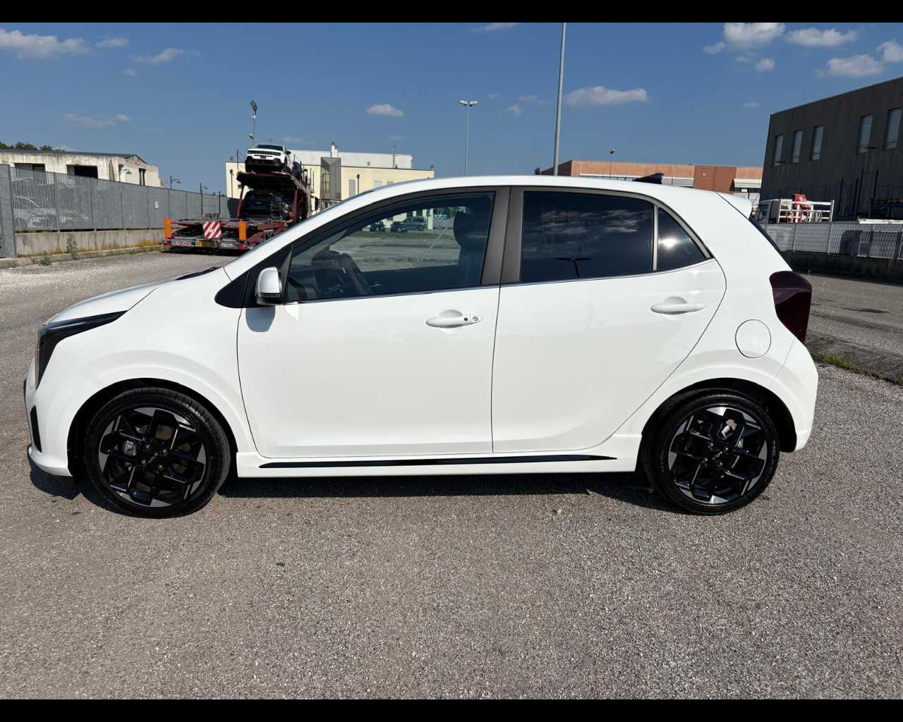 Kia Picanto KM0 2025 Picanto Rovigo