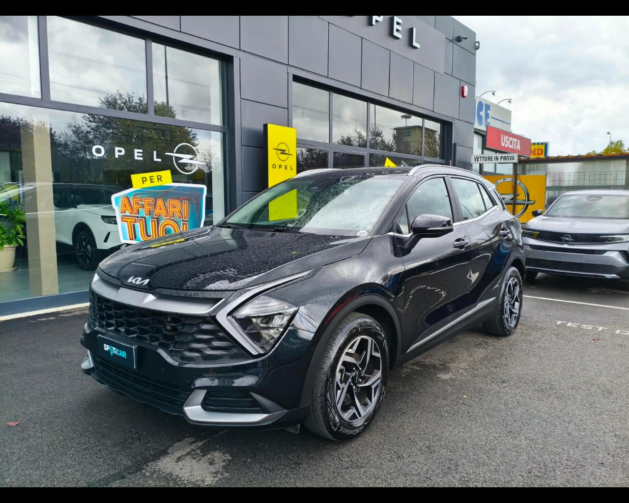 KIA Sportage 1.6 crdi mhev Business dct Usata