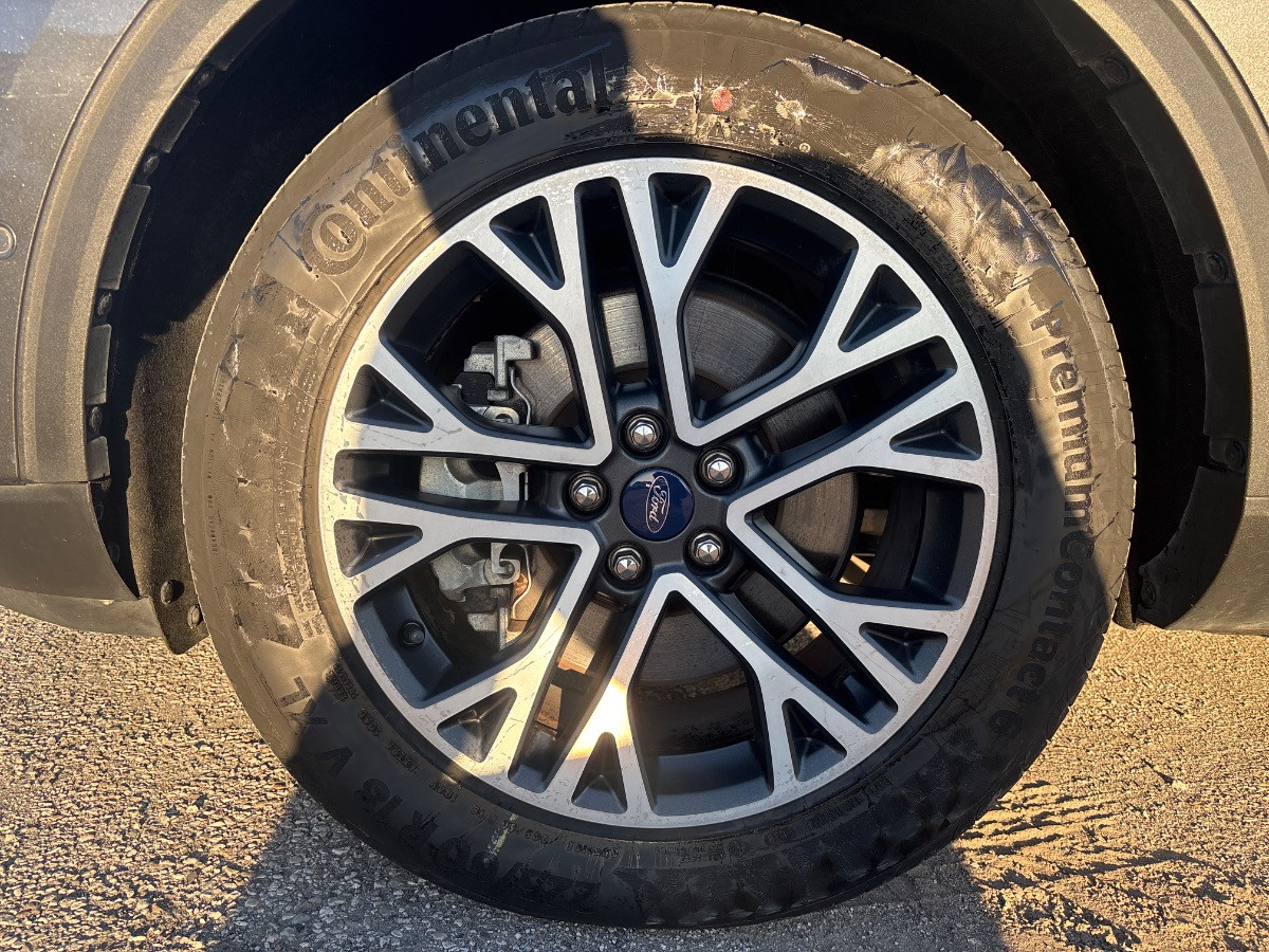 Ford Kuga Usato 2021 Kuga Este