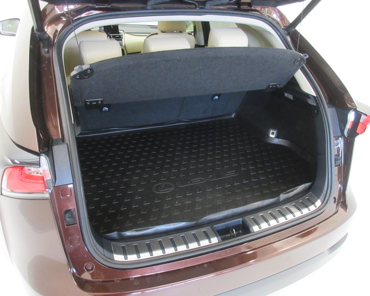 Lexus NX NX 300 2.5 Hybrid Icon 4WD CVT - 9