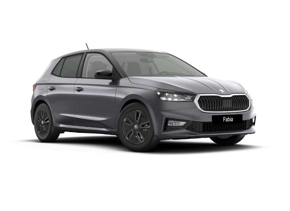 Skoda Fabia Nuovo Benzina Fabia Legnago
