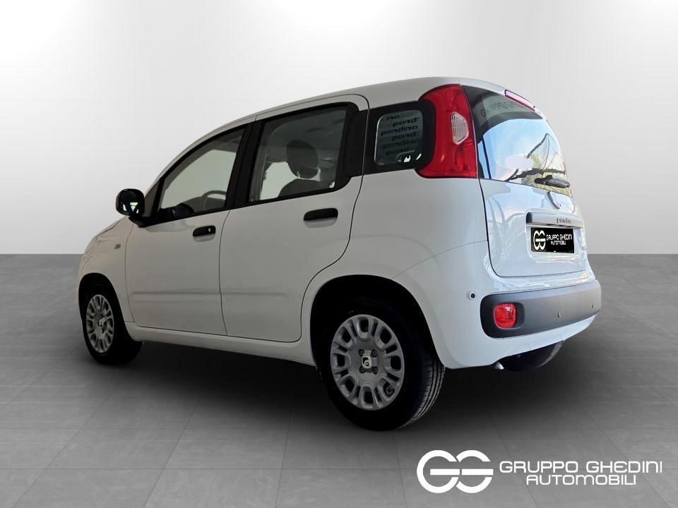 FIAT Panda Pandina My26 1.0 65cv Hybrid Pop Ibrida km0 - 2
