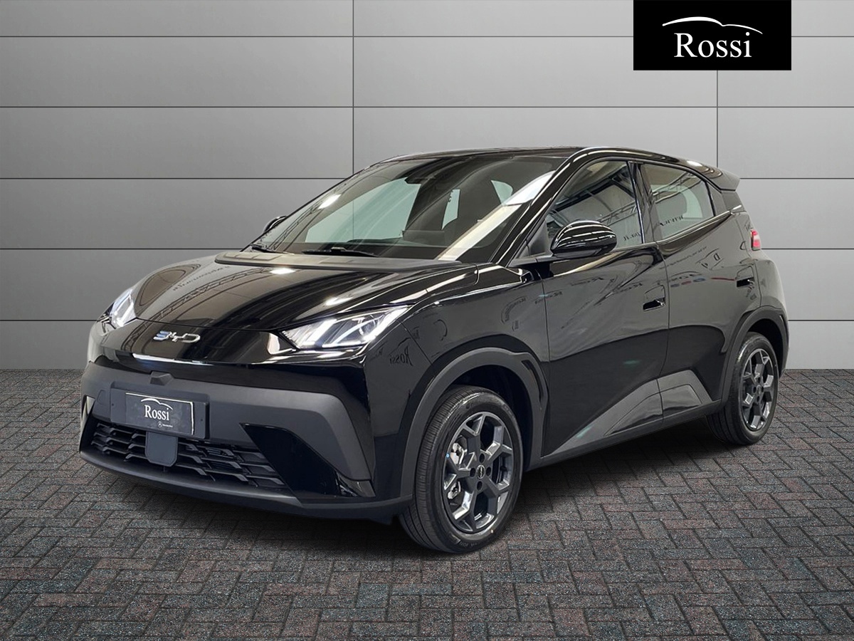 BYD BYD DOLPHIN SURF Boost