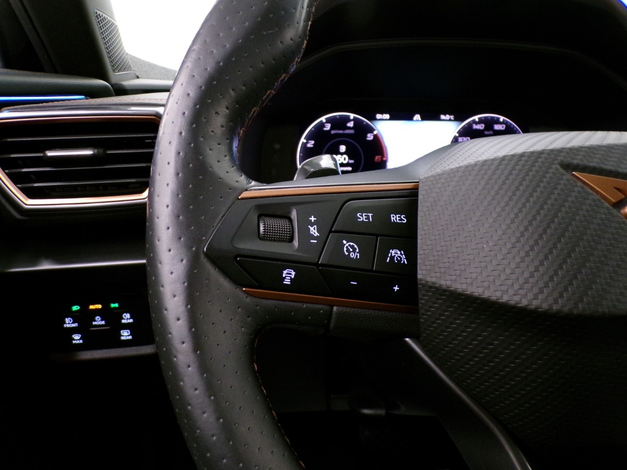 Cupra Formentor Formentor 2.0 TDI 4Drive - 17