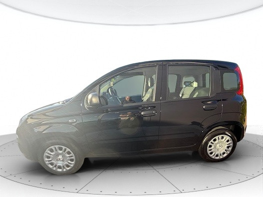 Fiat Panda Usato 2025 Panda Modena