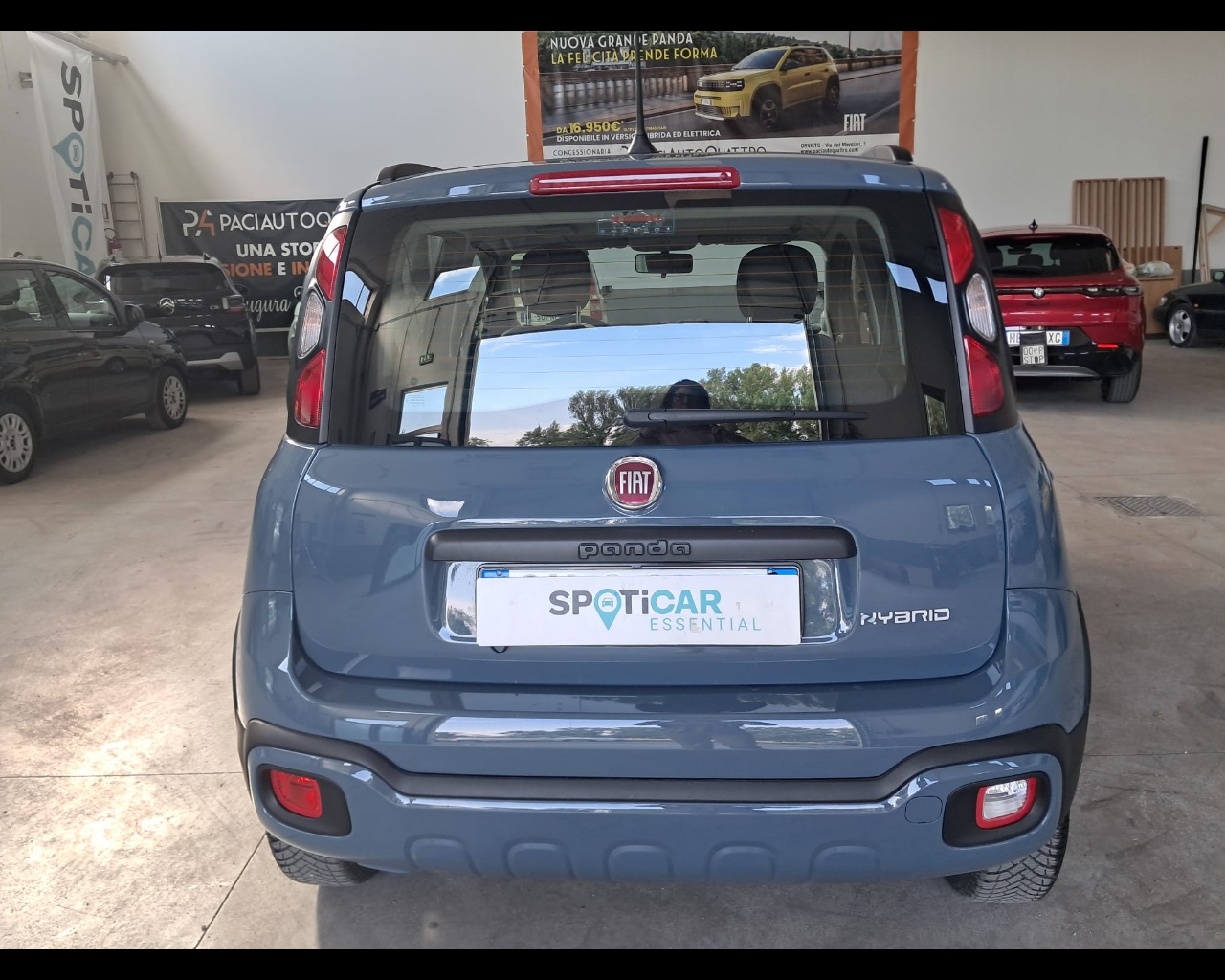 Foto FIAT Panda 1.0 firefly hybrid City Cross s&s 70cv