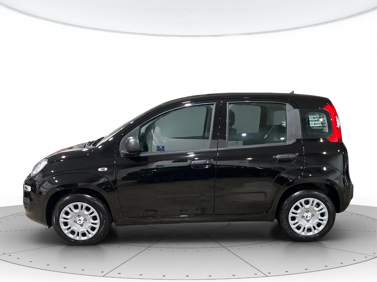 Fiat Pandina KM0 2026 Pandina Verona