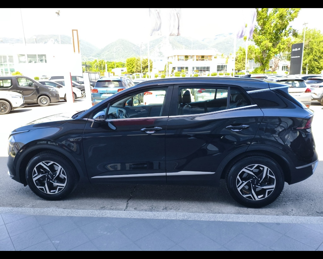 Foto KIA Sportage 1.6 crdi mhev Business imt