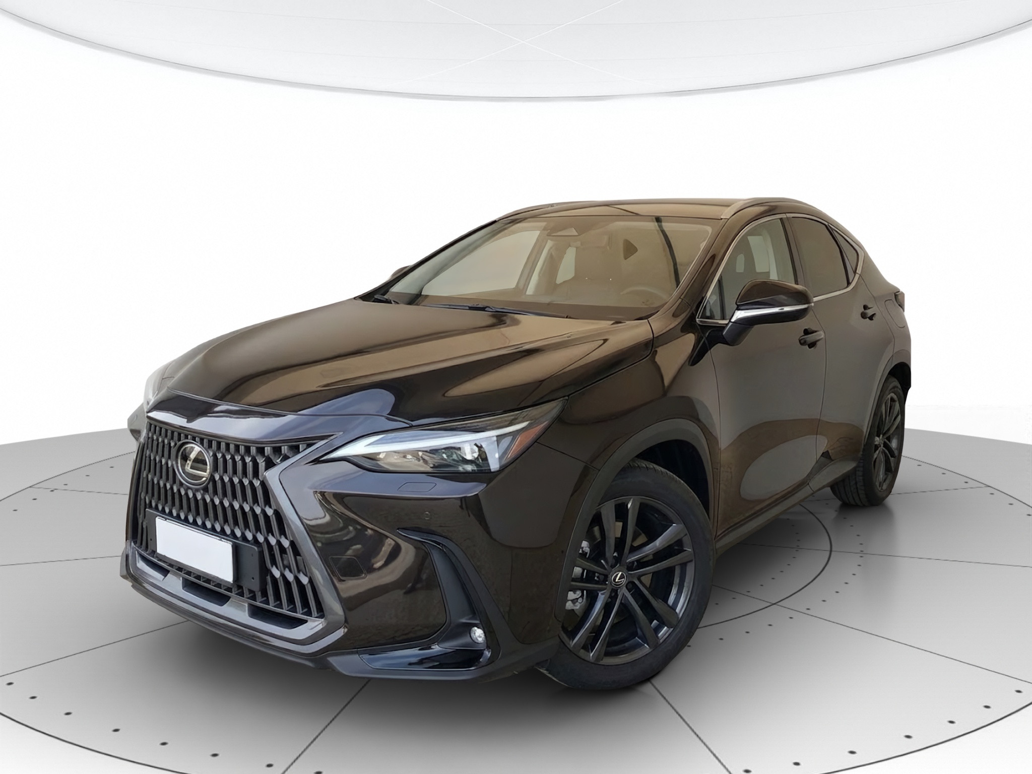 Lexus NX KM0 2026 NX Porto Mantovano
