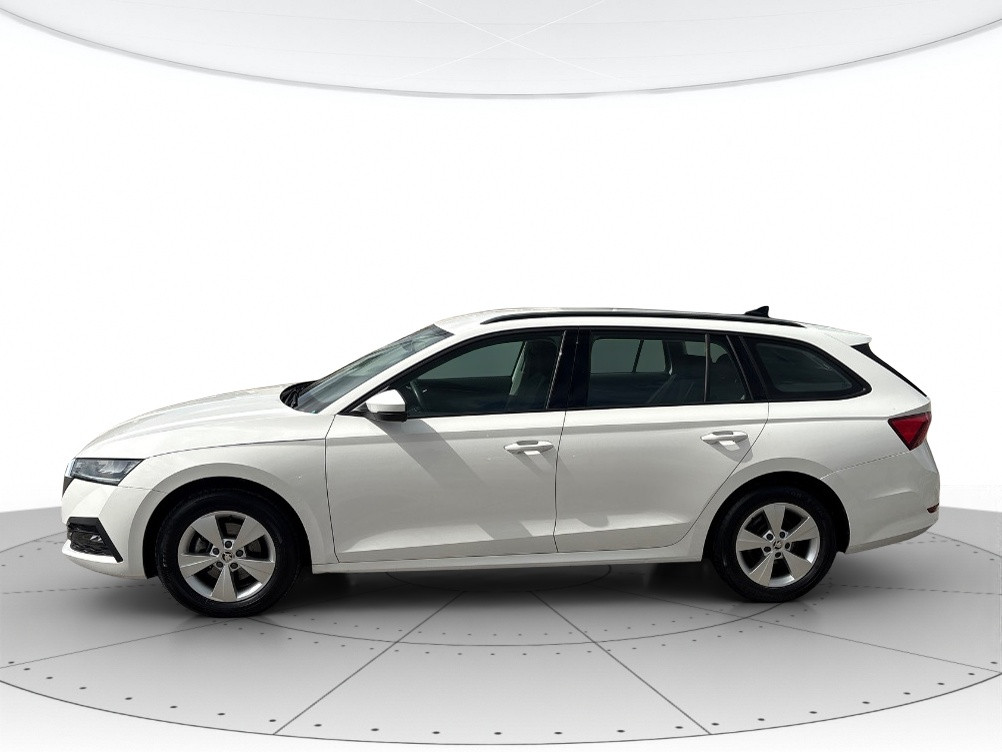Skoda Octavia Usato 2022 Octavia Rovigo