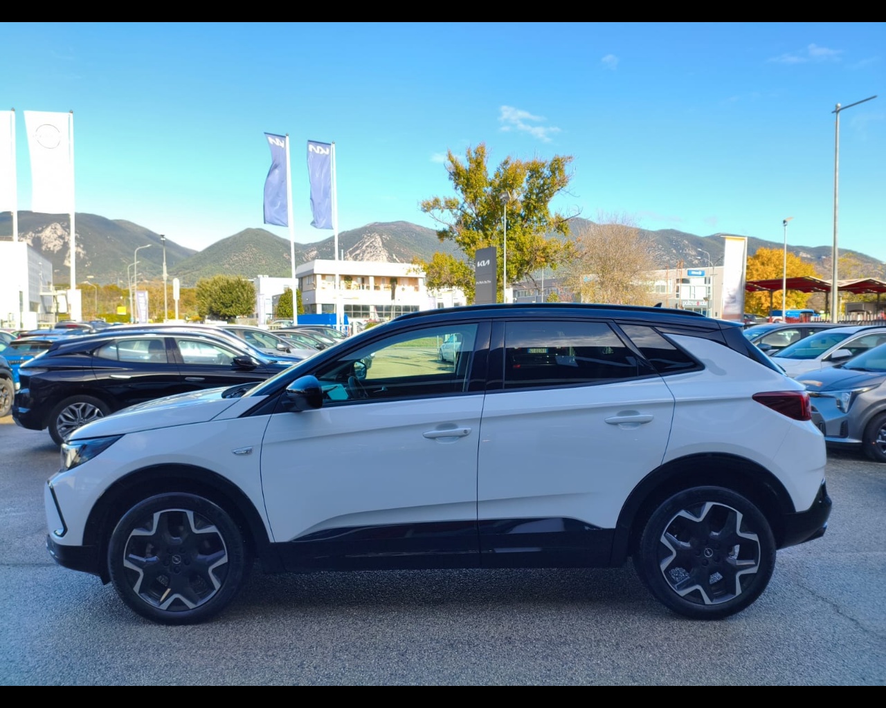 Foto OPEL Grandland 1.5 ecotec GS s&s 130cv at8