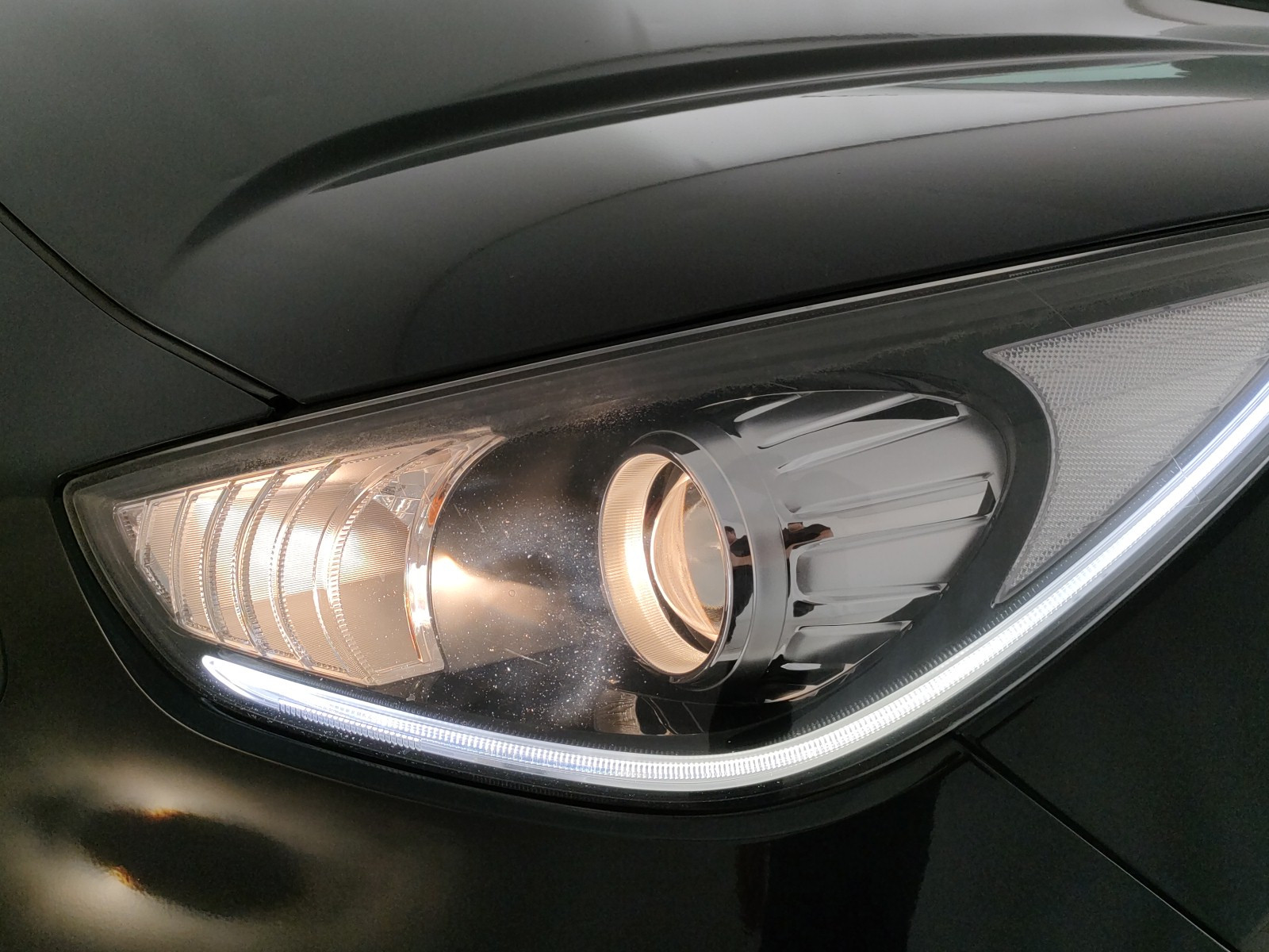 Kia Niro Usato 2018 Niro Padova
