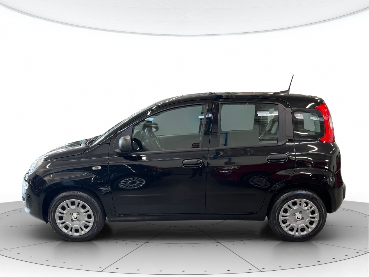 Fiat Panda Aziendali 2025 Panda Verona