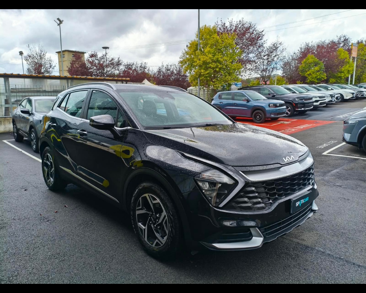 Foto KIA Sportage 1.6 crdi mhev Business dct