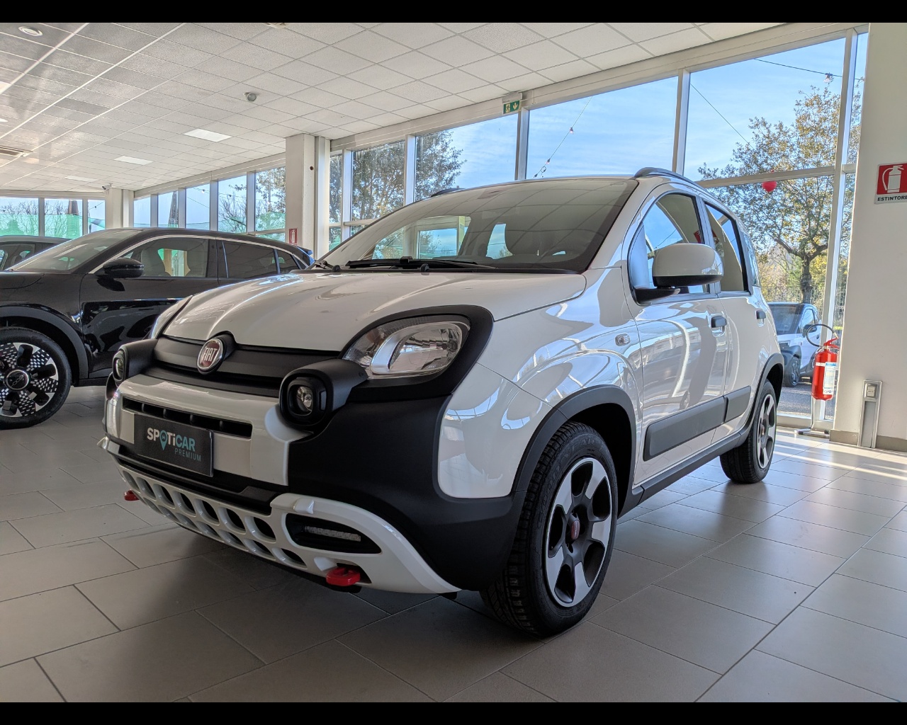 FIAT Panda 1.0 firefly hybrid Cross s&s 70cv 5p.ti Usata