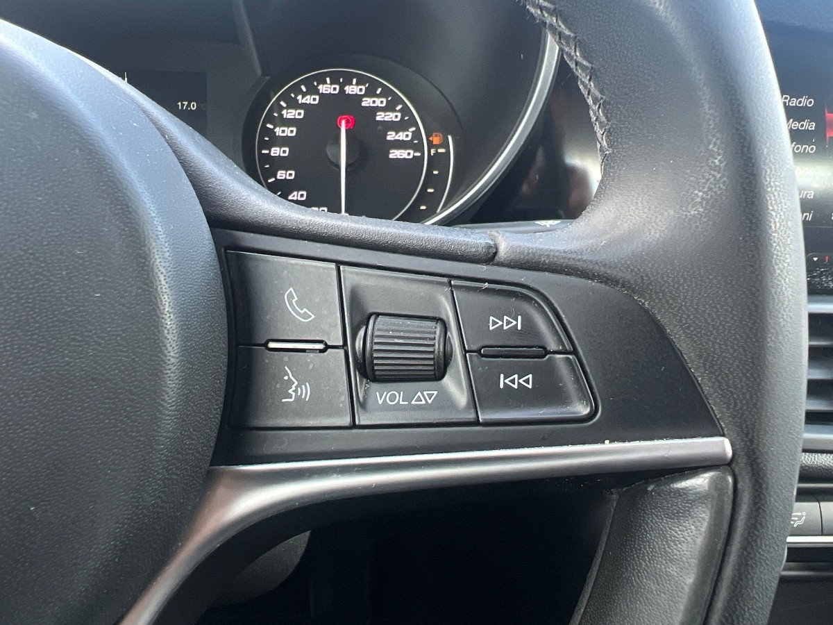 Alfa Romeo Giulia Usato 2016 Giulia Rovigo