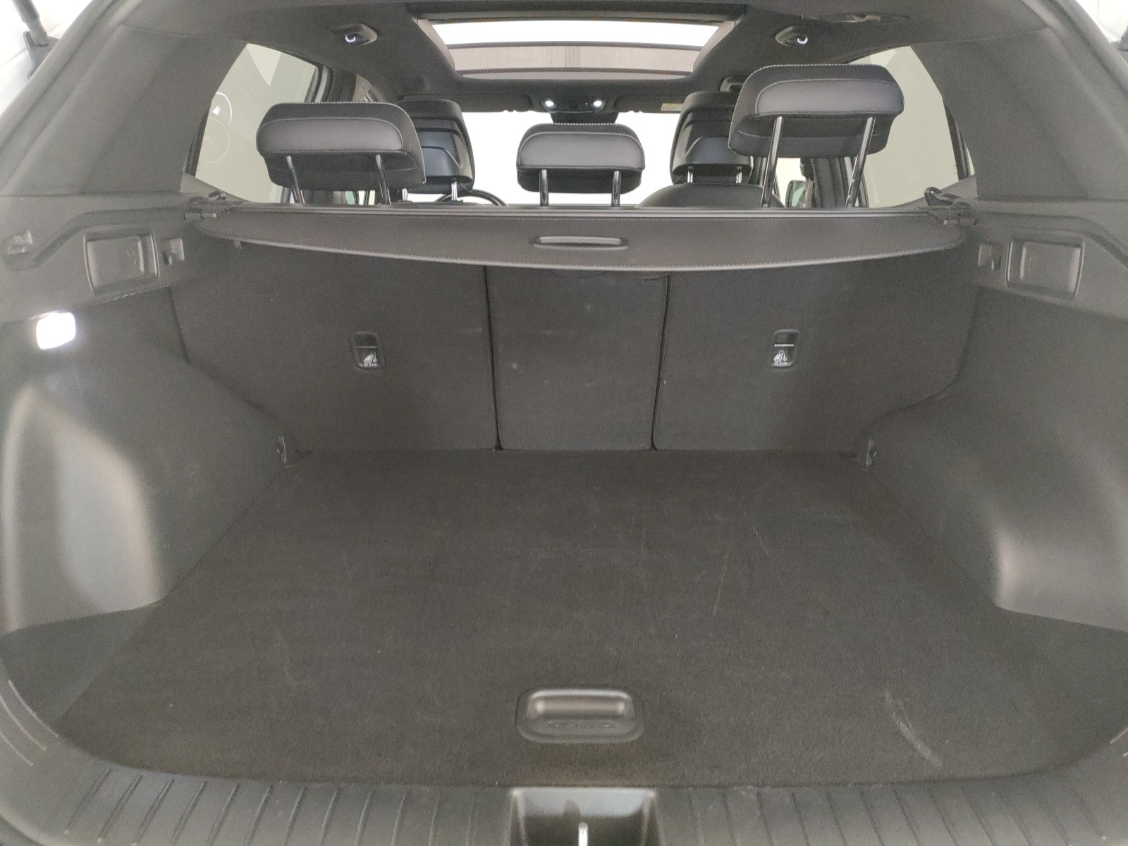 Kia Sportage Usato 2022 Sportage Rovigo