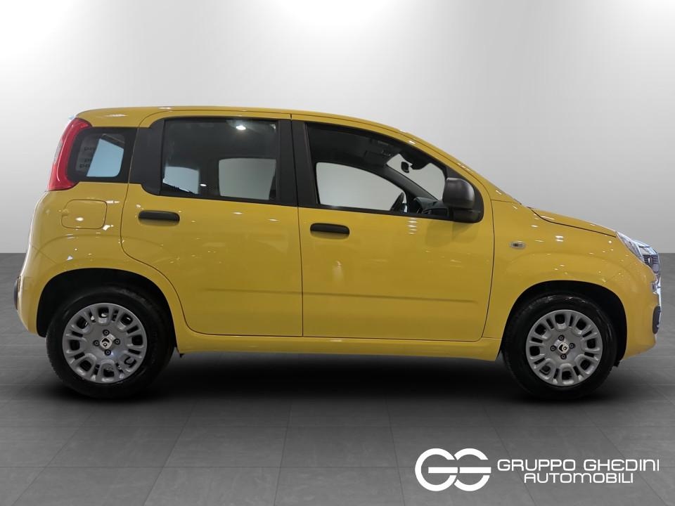 FIAT Panda Pandina My26 1.0 65cv Hybrid Pop Ibrida km0 - 1