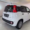 Pandina Van Serie 0 Pandina Van Pop 1.0 Hybrid 65cv S&s -  2 Posti
